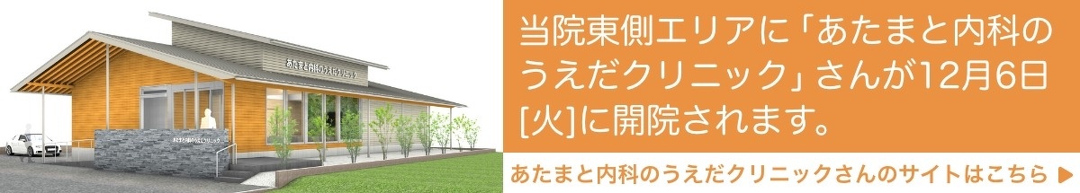 一宮市の森整形外科に隣接する、あたまと内科うえだクリニックのサイトバナー